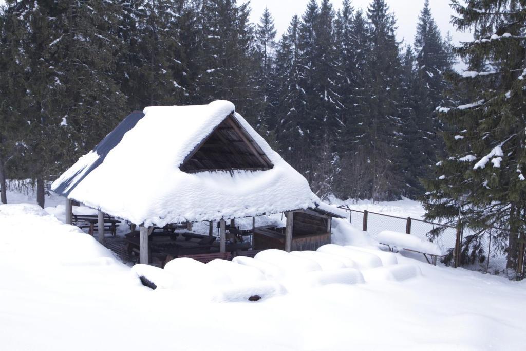 Siwarna Natura Tour Hotel Zakopane Esterno foto